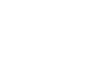 SE IT